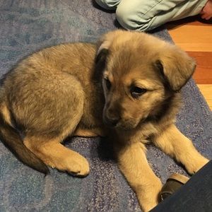 Meet your Posher, Prairie